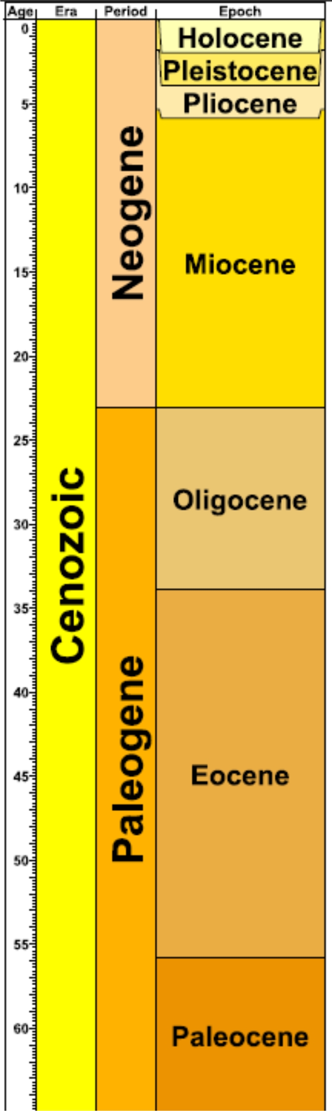 miocene period